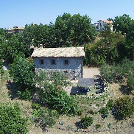 Fattoria Capobianco Villa Montefiascone Eksteriør bilde
