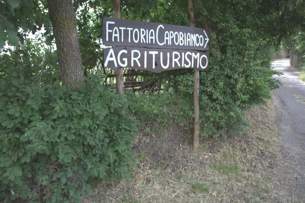 Fattoria Capobianco Villa Montefiascone Eksteriør bilde