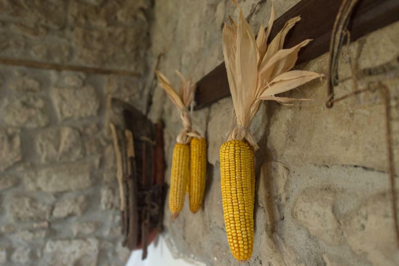 Fattoria Capobianco Villa Montefiascone Eksteriør bilde