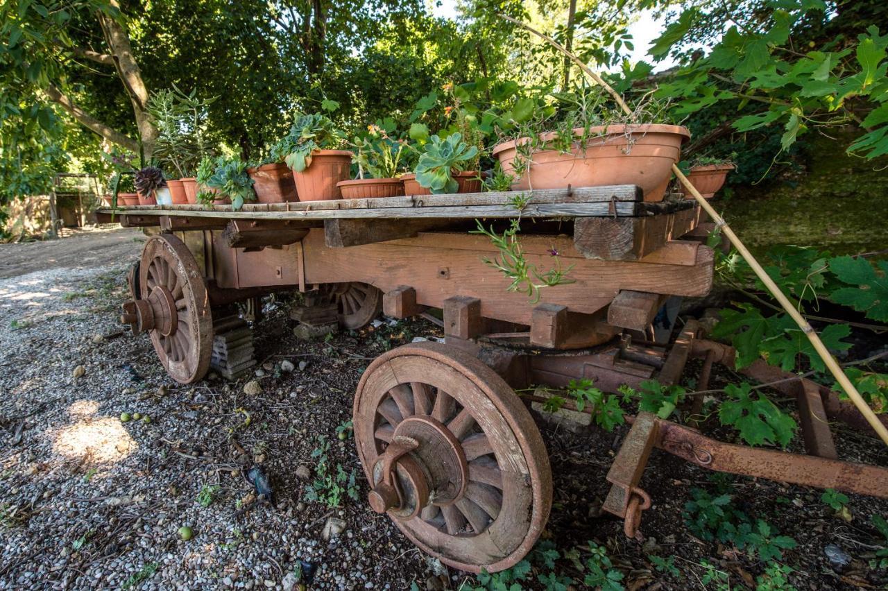Fattoria Capobianco Villa Montefiascone Eksteriør bilde
